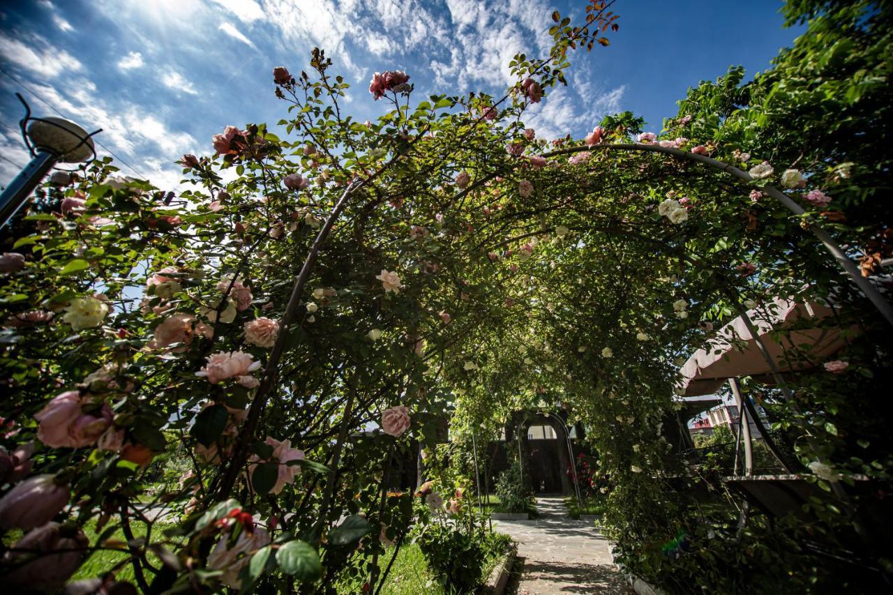 Chveni Ezo Boutique Hotel Koboeleti Buitenkant foto